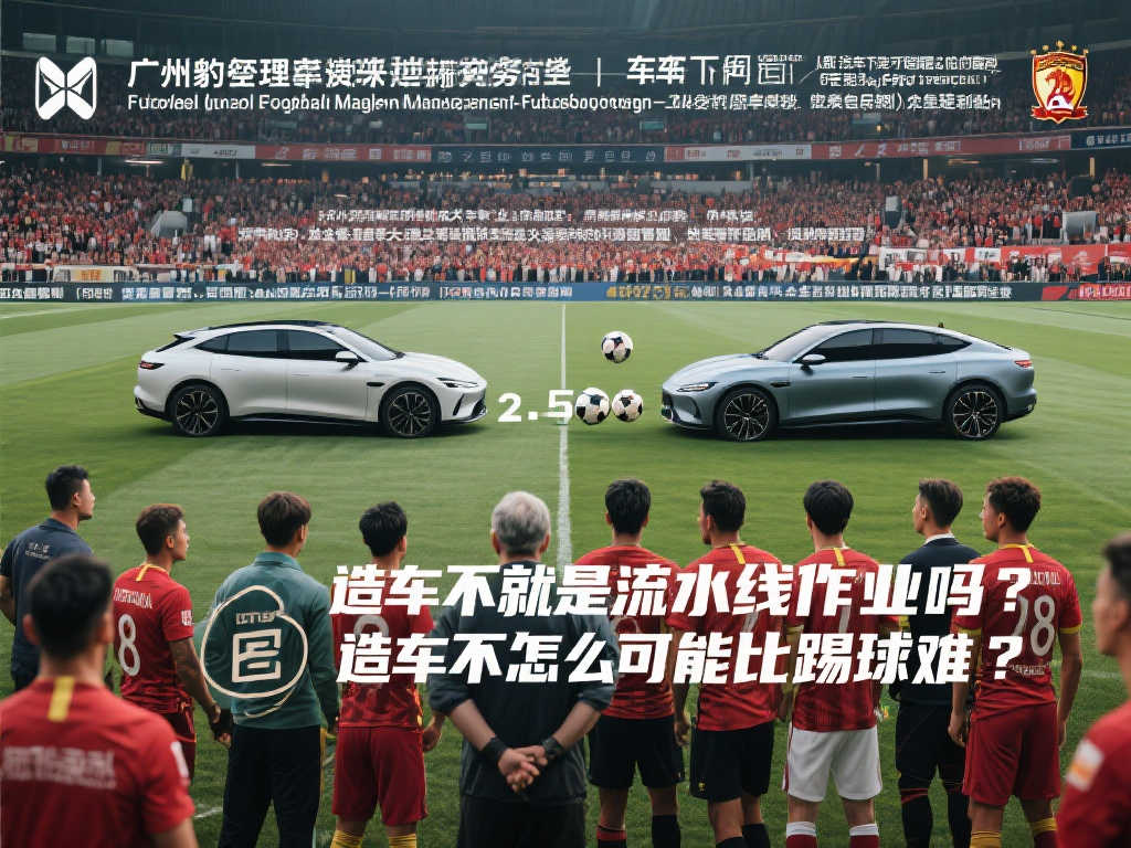 球的代表性 球的代表性